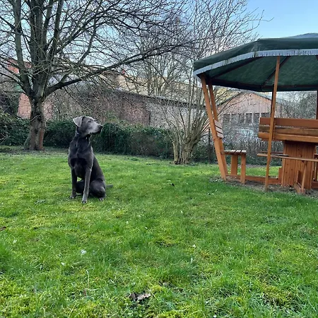 Apartment N&n Altbau-apartments Naehe Schloss & Zentrum