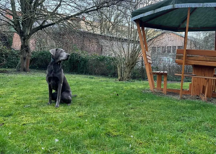 Apartment N&n Altbau-apartments Naehe Schloss & Zentrum